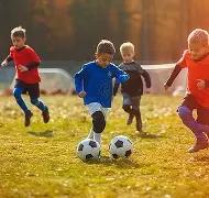 乐鱼体育,产品,乐鱼体育官网,乐鱼体育官网,乐鱼体育平台,乐鱼体育链接,乐鱼体育官方