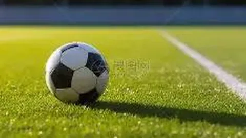 “河北五超”成为全国首个省级五人制足球联赛盛大启幕