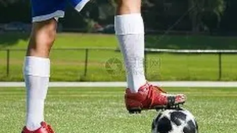 乐鱼体育 资讯 091251 jrm